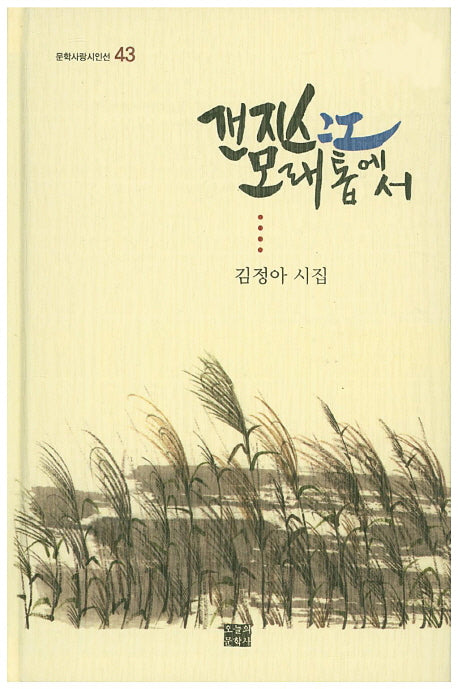 갠지스강 모래톱에서(문학사랑시인선 43)(양장본 HardCover)