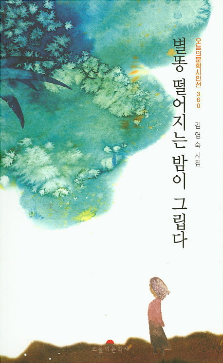 별똥 떨어지는 밤이 그립다(오늘의문학시인선 360)