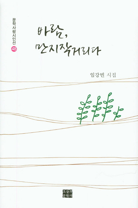 바람, 만지작거리다(문학사랑시인선 48)(양장본 HardCover)