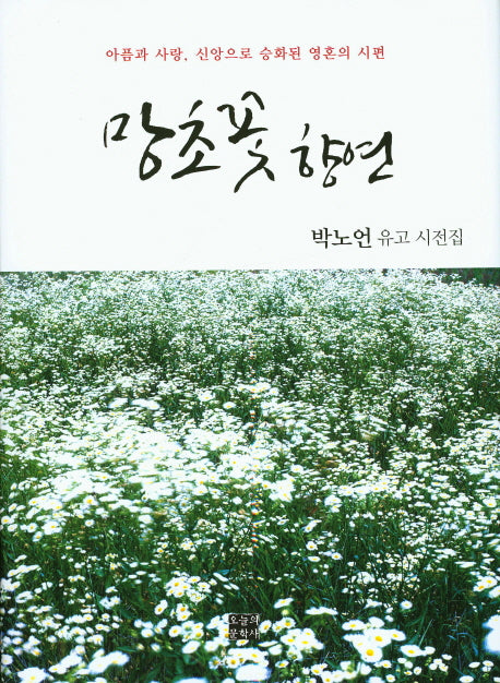 망초꽃 향연(양장본 HardCover)