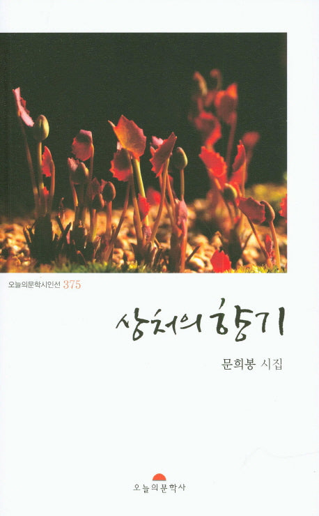 상처의 향기(오늘의문학시인선 375)
