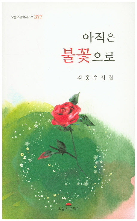 아직은 불꽃으로(오늘의문학시인선 377)