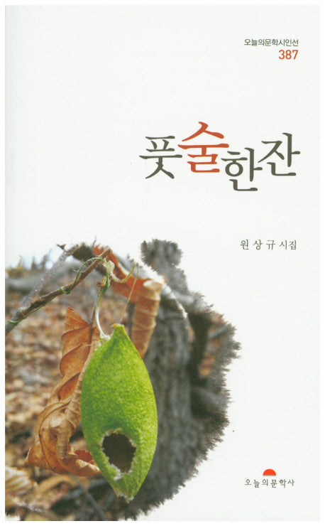 풋술한잔(오늘의문학시인선 387)