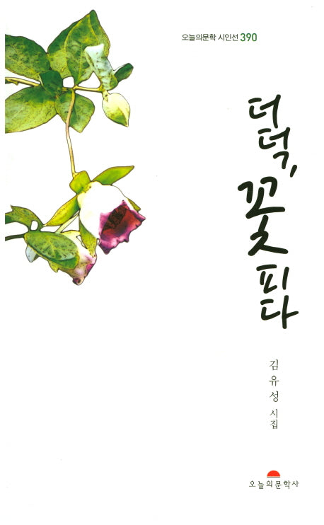 더덕, 꽃 피다(오늘의문학시인선 390)