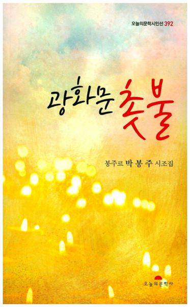 광화문 촛불(오늘의문학시인선 392)