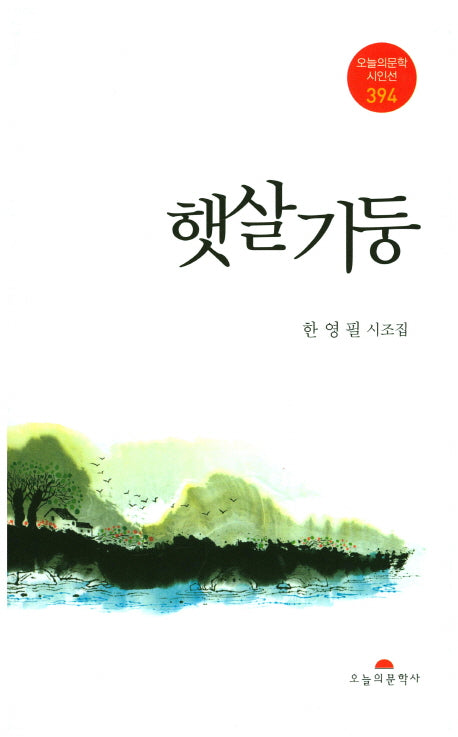 햇살기둥(오늘의문학시인선 394)