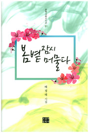 봄볕 잠시 머물다(문학사랑시인선 51)(양장본 HardCover)