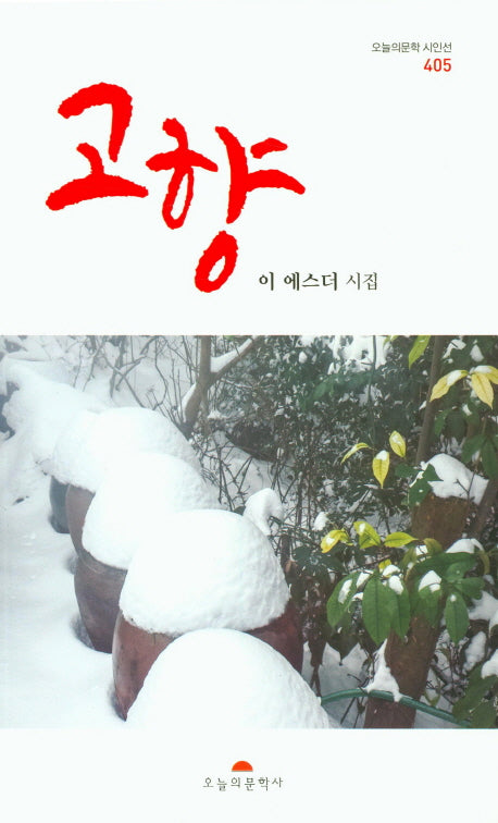 고향(오늘의문학시인선 405)