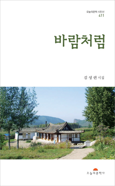 바람처럼(오늘의문학시인선 411)