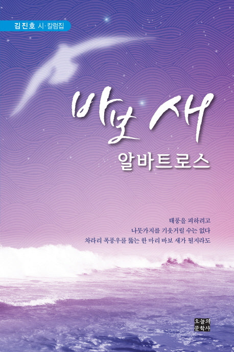 바보 새 알바트로스(문학사랑 수필선 136)
