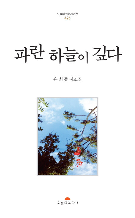 파란 하늘이 깊다(오늘의문학시인선 426)