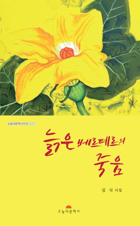 늙은 베르테르의 죽음(오늘의문학시인선 451)