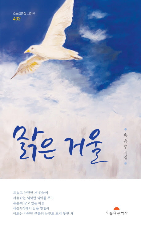 맑은 거울(오늘의문학시인선 432)