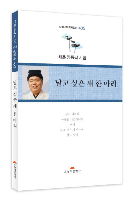 날고 싶은 새 한 마리(오늘의문학시인선 435)