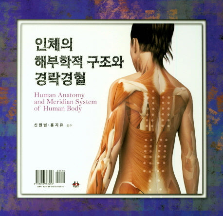 인체의 해부학적 구조와 경락경혈(스프링)