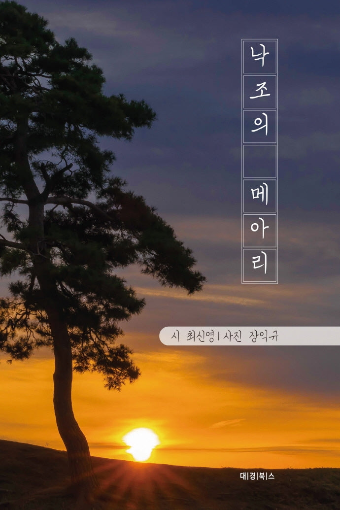 낙조의 메아리