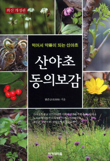 산야초 동의보감(개정판)