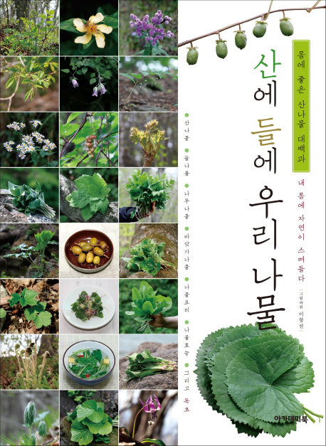산에 들에 우리 나물
