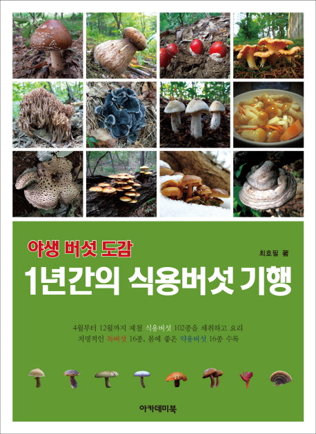 야생 버섯 도감: 1년간의 식용버섯 기행