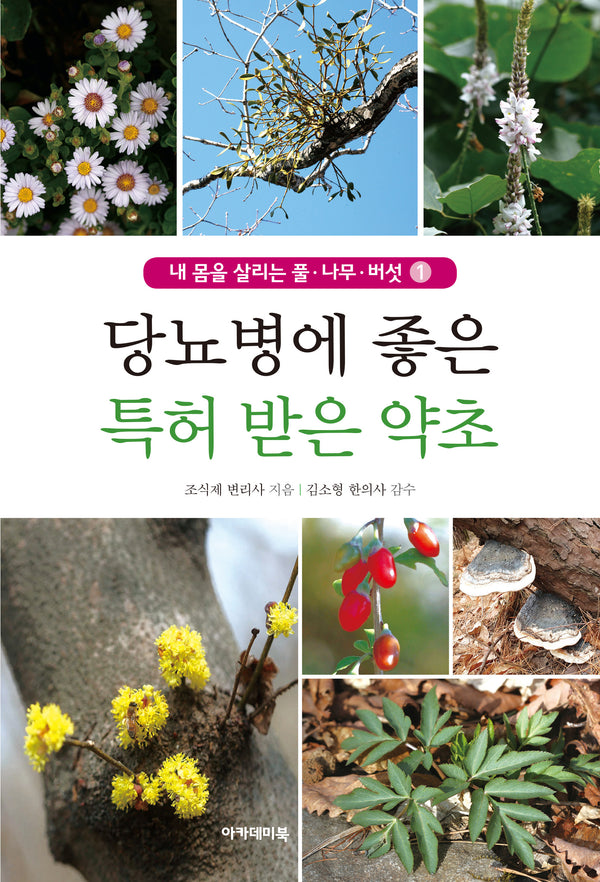 당뇨병에 좋은 특허 받은 우리 약초(내 몸을 살리는 풀 나무 버섯 1)