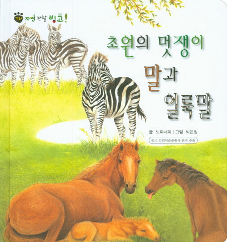 초원의 멋쟁이 말과 얼룩말(꼬마 자연 관찰 빙고 16)(양장본 Hardcover)