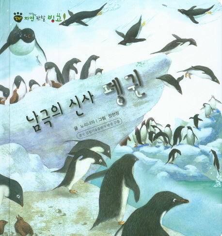 남극의 신사 펭귄(꼬마 자연 관찰 빙고 33)(양장본 HardCover)