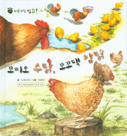 꼬끼오 수탉, 꼬꼬댁 암탉(꼬마 자연 관찰 빙고 35)(양장본 HardCover)