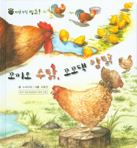 꼬끼오 수탉, 꼬꼬댁 암탉(꼬마 자연 관찰 빙고 35)(양장본 HardCover)
