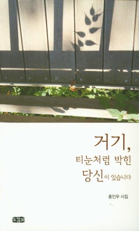 거기, 티눈처럼 박힌 당신이 있습니다