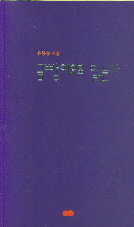 금빵여우로 읽는다