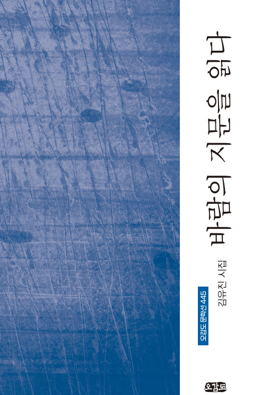 바람의 지문을 읽다(오감도 문학선 445)