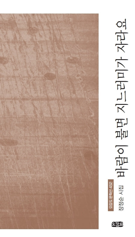바람이 불면 지느러미가 자라요(오감도 문학선 452)
