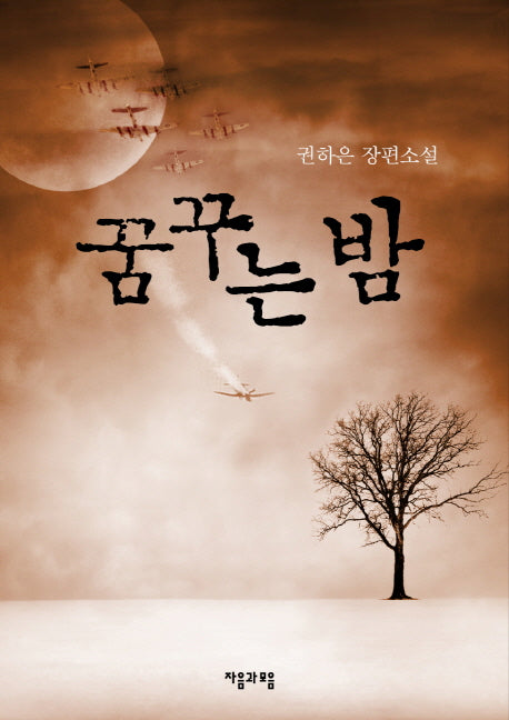 꿈꾸는 밤