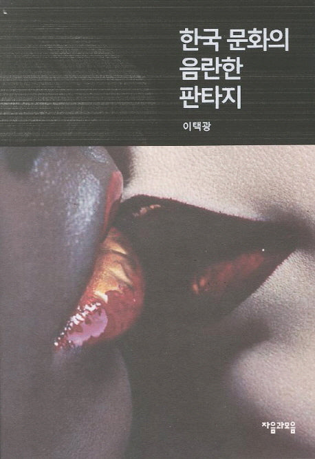 한국 문화의 음란한 판타지(자음과모음 하이브리드 총서)