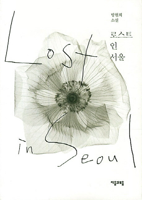 로스트 인 서울