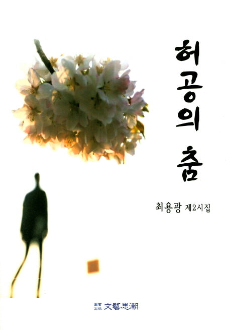 허공의 춤