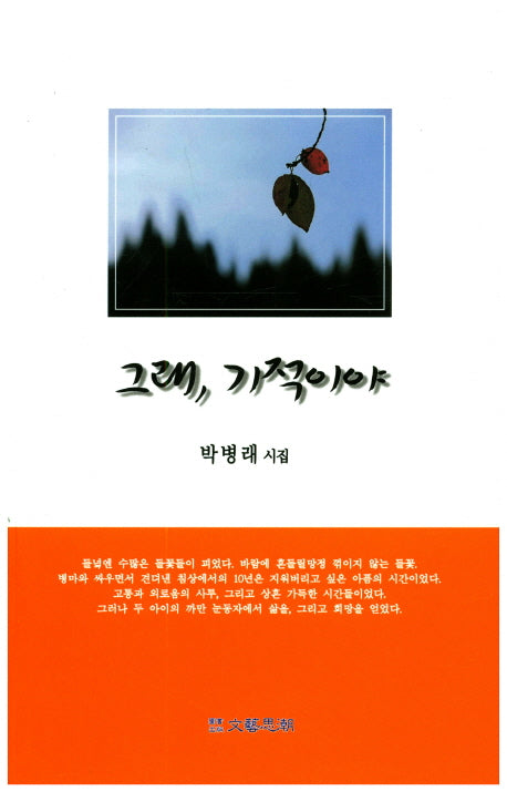 그래 기적이야(문예사조 시선집)