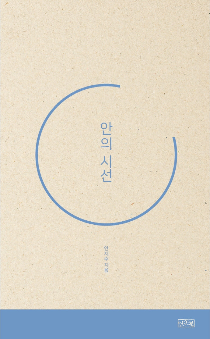 안의 시선