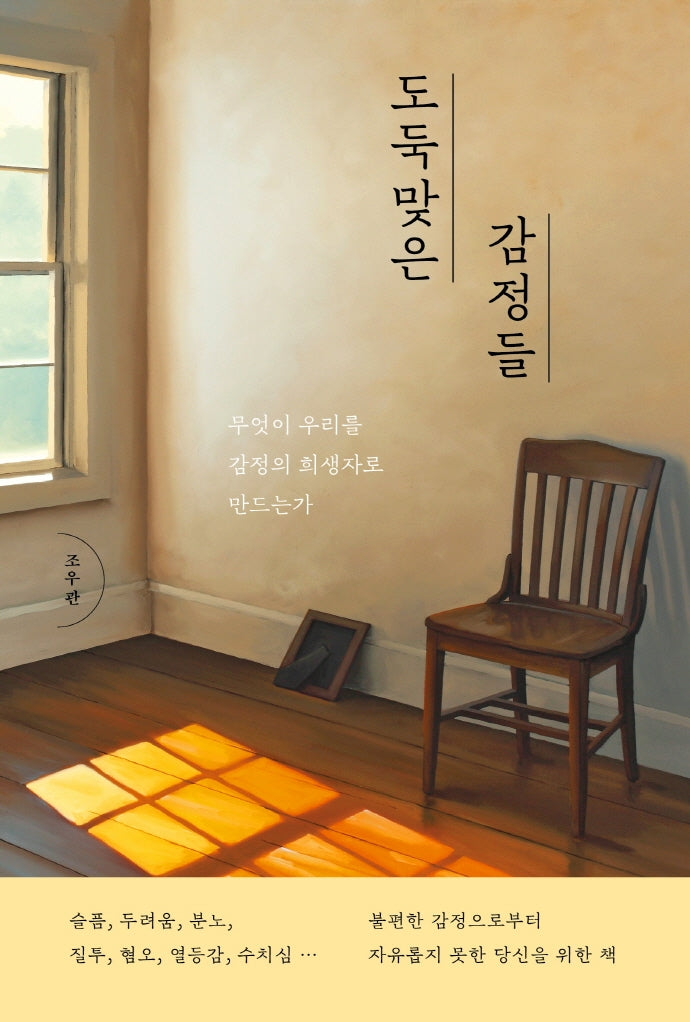도둑맞은 감정들(자기탐구 인문학 4)
