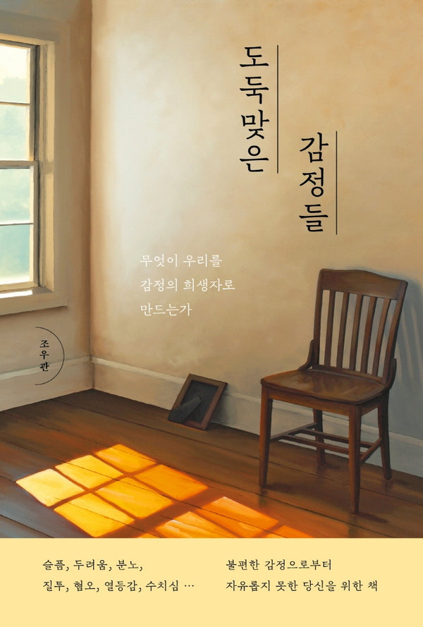 도둑맞은 감정들(자기탐구 인문학 4)