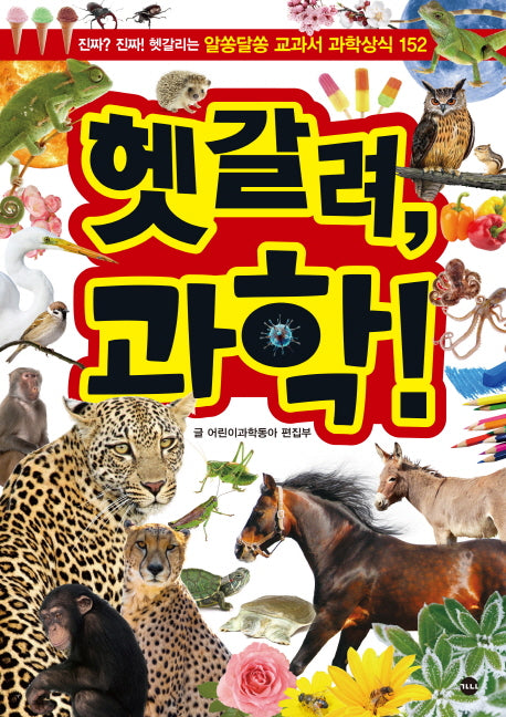 헷갈려, 과학!