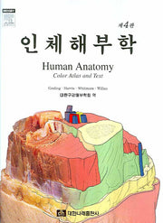 인체해부학(4판)