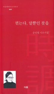 꺽는다, 말뿐인 붓을(다층현대시조시인선 9)