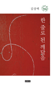 한 줄로 된 깨달음