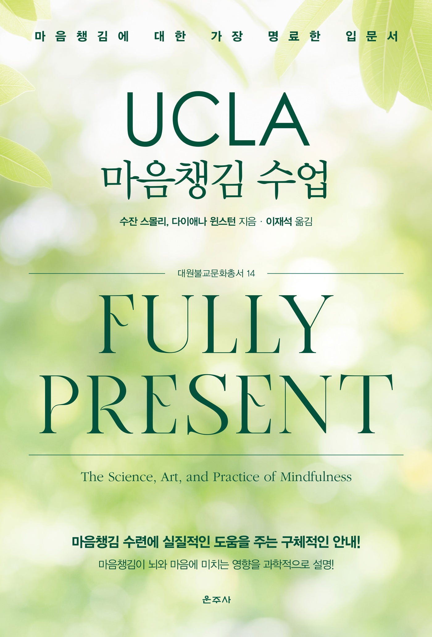 UCLA 마음챙김 수업(대원불교문화총서 14)