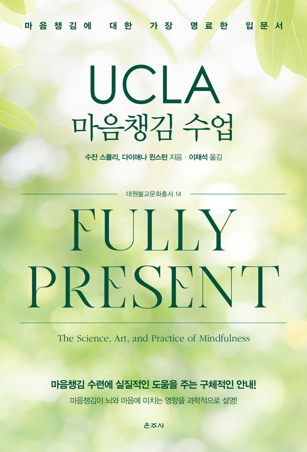 UCLA 마음챙김 수업(대원불교문화총서 14)