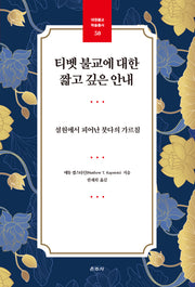 티벳 불교에 대한 짧고 깊은 안내(대원불교 학술총서 50)