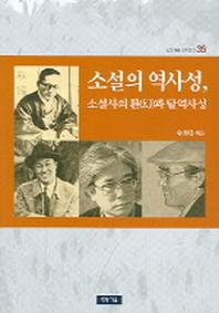 소설의 역사성 소설사의 환과 탈역사성 (청동거울 문화점검 35)
