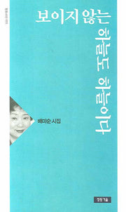 보이지 않는 하늘도 하늘이다(청동시선 3)
