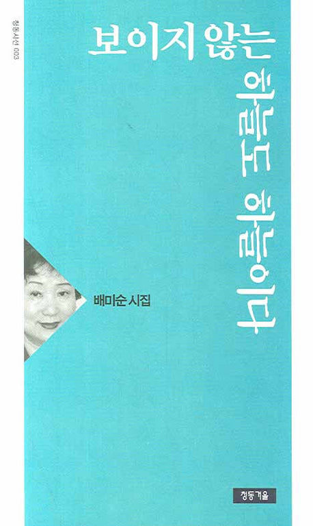 보이지 않는 하늘도 하늘이다(청동시선 3)